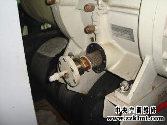 中央黄瓜视频在线下载黄瓜成人APP视频更换油过滤芯