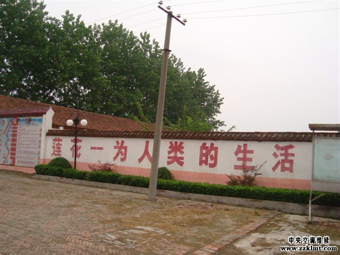 周口中央黄瓜视频在线下载维修莲花味精培训基地
