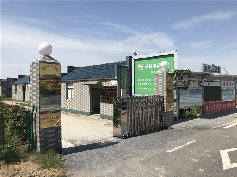 黄瓜视频在线下载基地
